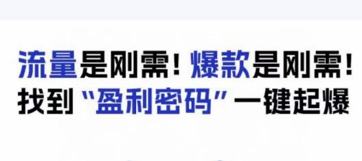 电商盈利精品课：6大盈利密码让产品更好卖，流量是刚需！爆款是刚需！找到”盈利密码”一键起爆-汇课新知资源网