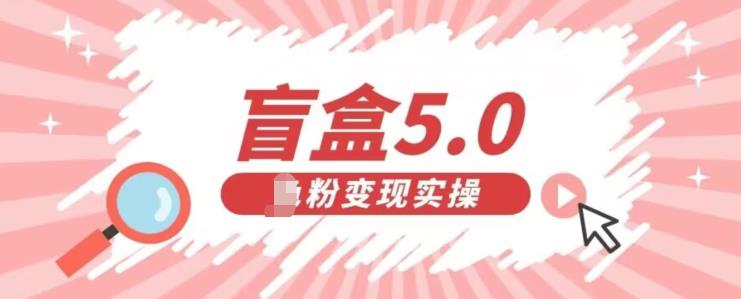 盲盒交友5.0，男粉变现实操项目，亲测变现效果极好【揭秘】-汇课新知资源网