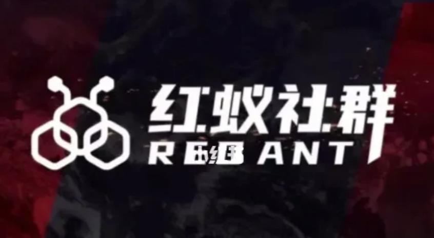 社群运营：红蚁社群【48节落地系统课程+2000人高端社群】-汇课新知资源网