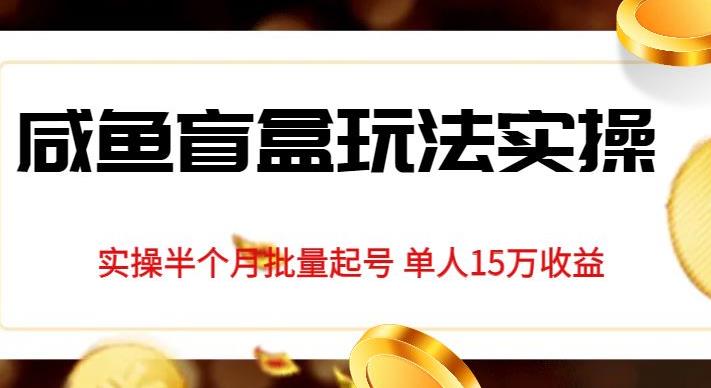 独家首发咸鱼盲盒玩法实操，半个月批量起号单人15万收益【揭秘】-汇课新知资源网