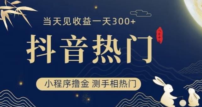 抖音最新小程序撸金，测手相上热门，当天见收益一小时变现300+【揭秘】-汇课新知资源网