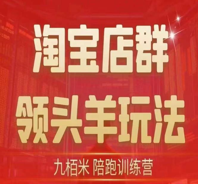 九栢米-淘宝店群领头羊玩法，教你整个淘宝店群领头羊玩法以及精细化/终极蓝海/尾销等内容-汇课新知资源网