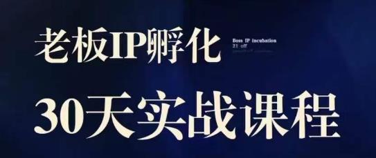 诸葛·2023老板IP实战课，实体同城引流获客，IP孵化必听-汇课新知资源网
