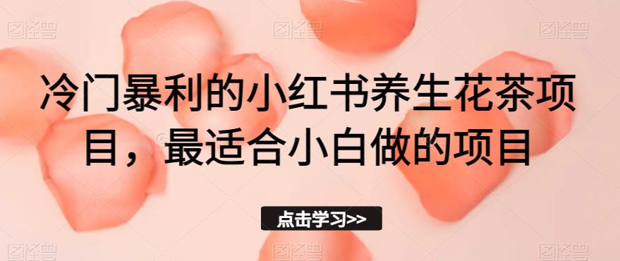 冷门暴利的小红书养生花茶项目，最适合小白做的项目【揭秘】-汇课新知资源网