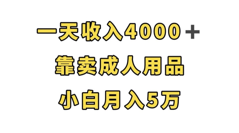 一天收入4000+，靠卖成人用品，小白轻松月入5万【揭秘】-汇课新知资源网