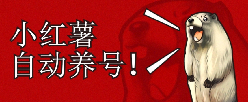 小红书养号秘籍，如何自动涨粉清晰系统标签打造高权重账号【揭秘】-汇课新知资源网