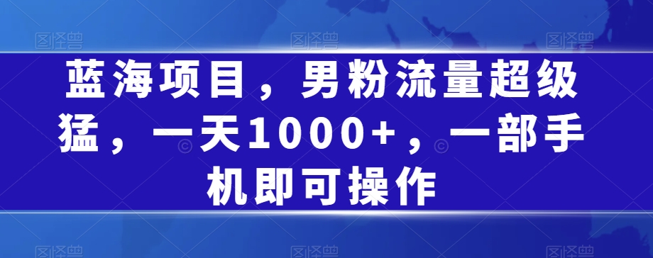 蓝海项目，男粉流量超级猛，一天1000+，一部手机即可操作【揭秘】-汇课新知资源网
