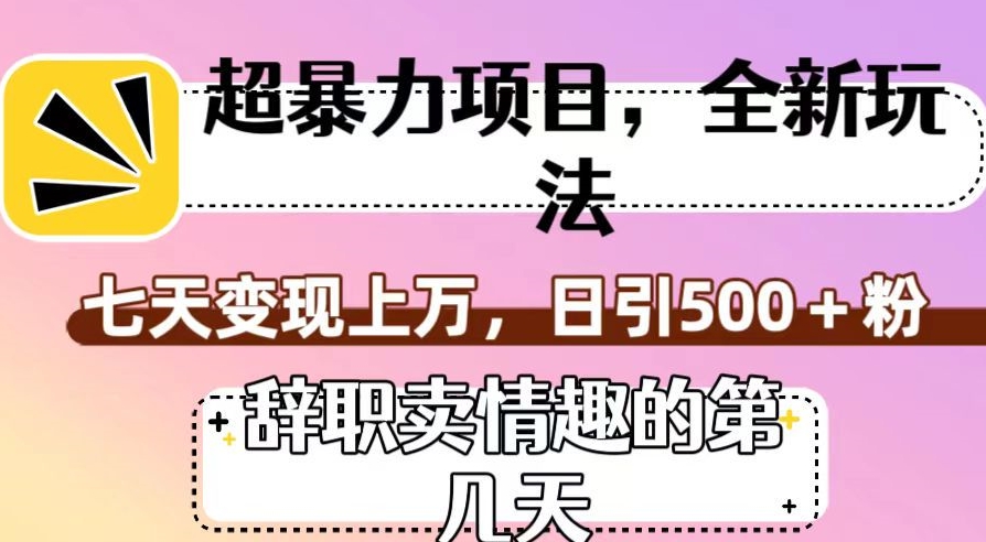 超暴利项目，全新玩法（辞职卖情趣的第几天），七天变现上万，日引500+粉【揭秘】-汇课新知资源网