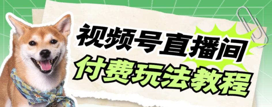 视频号美女付费无人直播，轻松日入500+【详细玩法教程】-汇课新知资源网