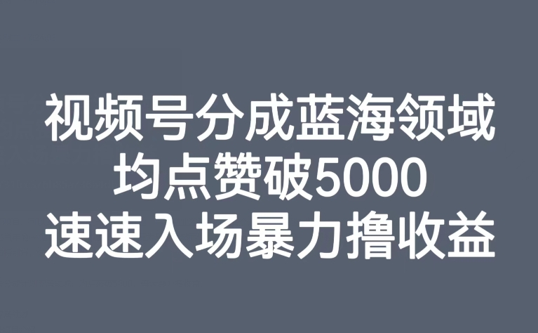 视频号分成蓝海领域，均点赞破5000，速速入场暴力撸收益-汇课新知资源网