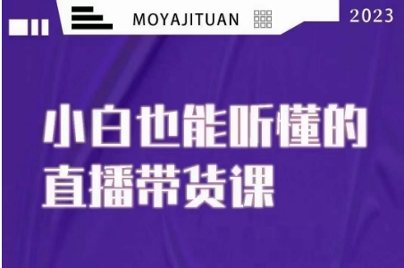大威本威·能听懂的直播带货课，小白也能听懂，20节完整-汇课新知资源网