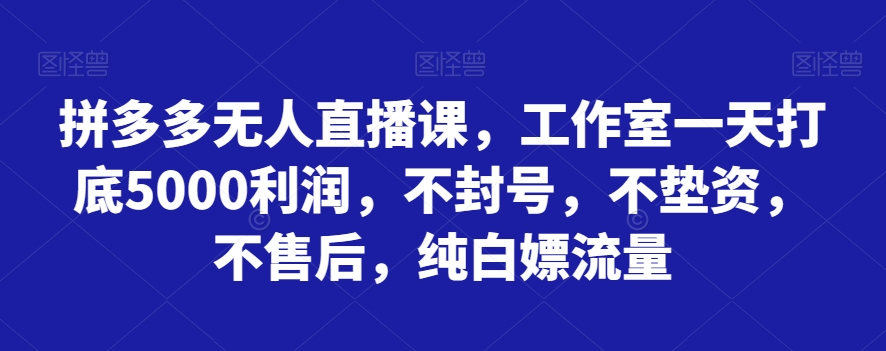 拼多多无人直播课，工作室一天打底5000利润，不封号，不垫资，不售后，纯白嫖流量-汇课新知资源网