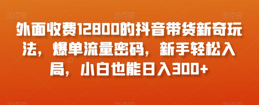 外面收费12800的抖音带货新奇玩法，爆单流量密码，新手轻松入局，小白也能日入300+【揭秘】-汇课新知资源网