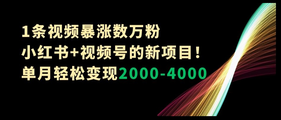 1条视频暴涨数万粉–小红书+视频号的新项目！单月轻松变现2000-4000【揭秘】-汇课新知资源网