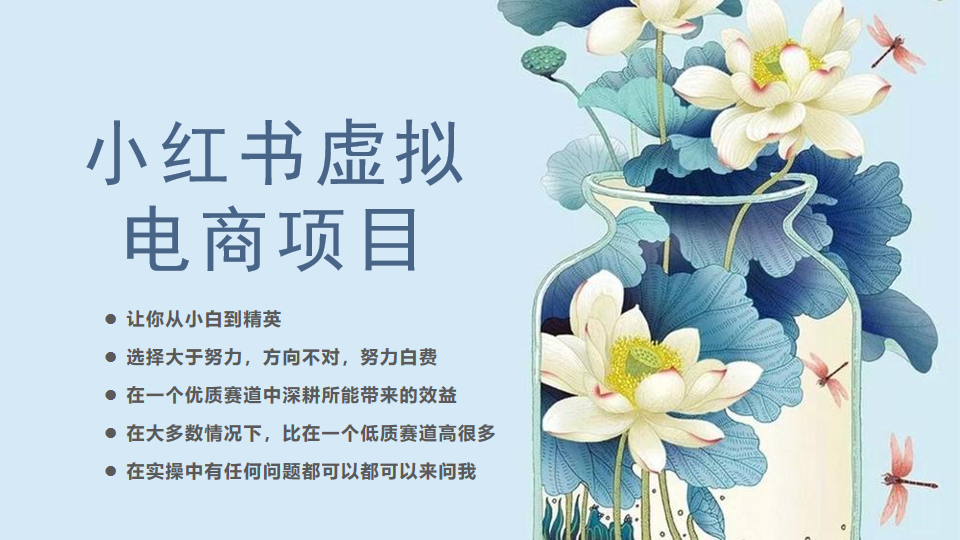 [小红书]小红书虚拟电商从0到1小白到精英（20节实操课程）-汇课新知资源网