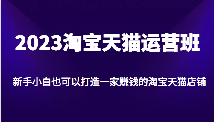 2023淘宝天猫运营班，新手小白也可以打造一家赚钱的淘宝天猫店铺-汇课新知资源网
