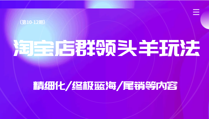 淘宝店群领头羊玩法，精细化/终极蓝海/尾销等内容（第10-12期）-汇课新知资源网
