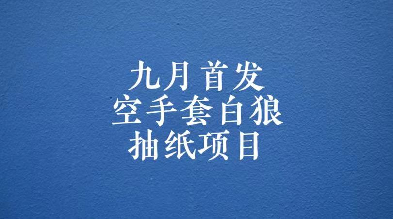 0成本，日入100-500空手套白狼抽纸项目，保姆级教学-汇课新知资源网