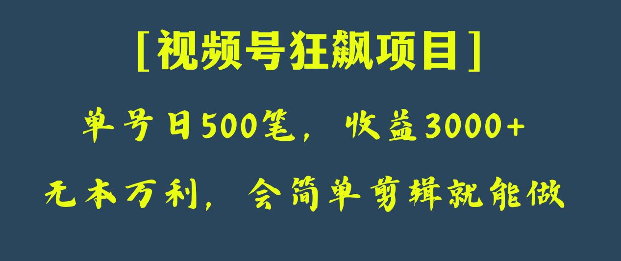 日收款500笔，纯利润3000+，视频号狂飙项目！-汇课新知资源网
