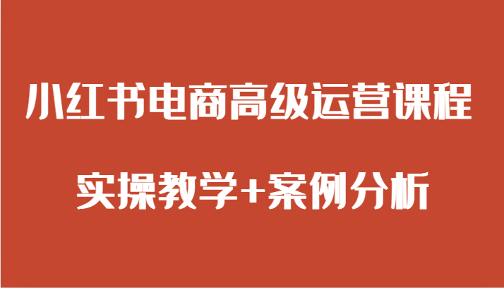 小红书电商高级运营课程 实操教学+案例分析-汇课新知资源网