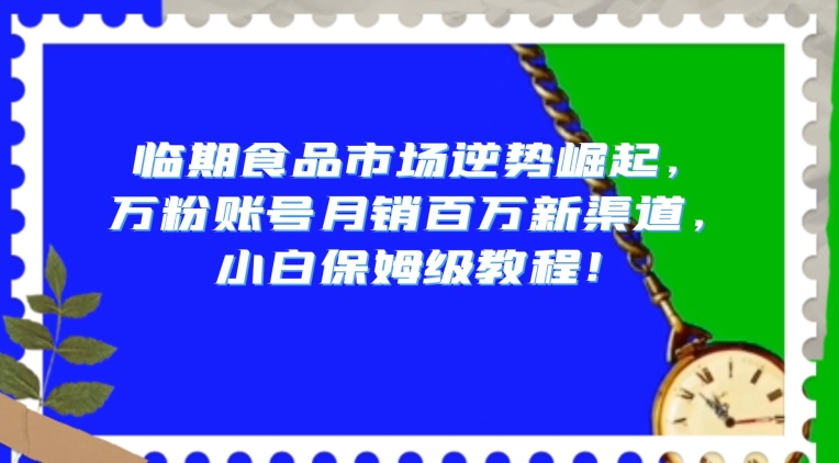 临期食品市场逆势崛起，万粉账号月销百万新渠道，小白保姆级教程【揭秘】-汇课新知资源网