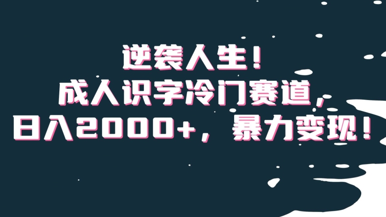 逆袭人生！成人识字冷门赛道，日入2000+，暴力变现！【揭秘】-汇课新知资源网