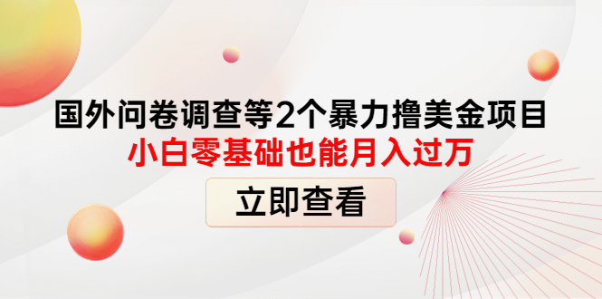 （4062期）国外问卷调查等2个暴力撸美金项目，小白零基础也能月入过万-汇课新知资源网