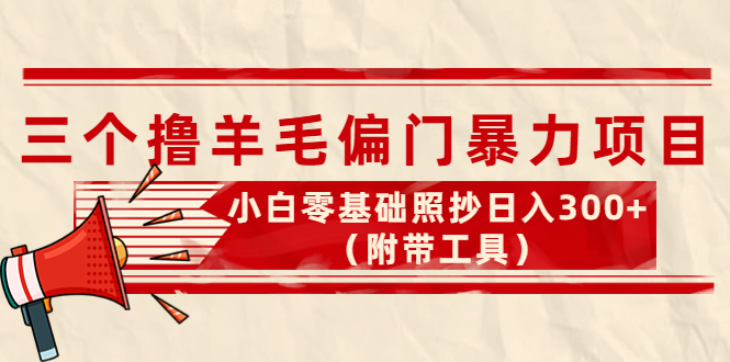 （4110期）外面卖998的三个撸羊毛偏门暴力项目，小白零基础照抄日入300+（附带工具）-汇课新知资源网