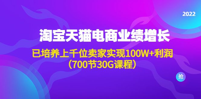 （4409期）淘系天猫电商业绩增长：已培养上千位卖家实现100W+利润（700节30G课程）-汇课新知资源网