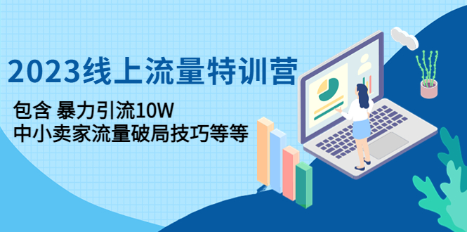 （4567期）2023线上流量特训营：包含暴力引流10W+中小卖家流量破局技巧等等-汇课新知资源网