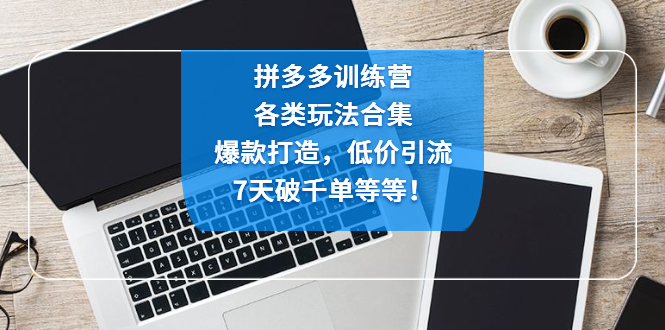 （4693期）拼多多训练营：各玩法合集，爆款打造，低价引流，7天破千单等等！-汇课新知资源网