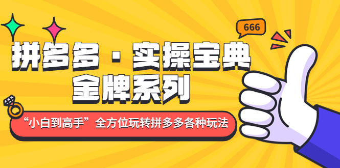 （4934期）拼多多·实操宝典：金牌系列“小白到高手”带你全方位玩转拼多多各种玩法-汇课新知资源网