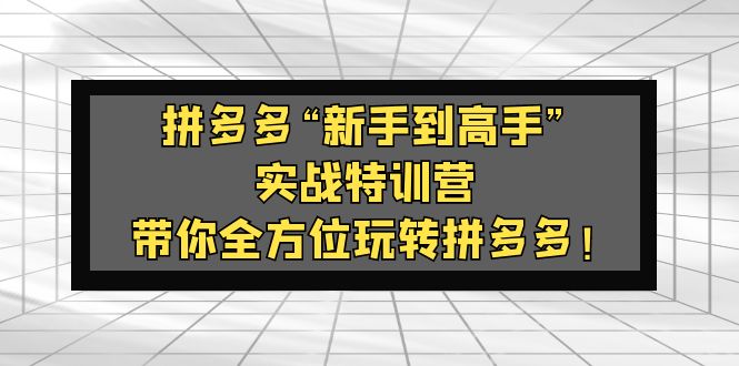 （5173期）拼多多“新手到高手”实战特训营：带你全方位玩转拼多多！-汇课新知资源网
