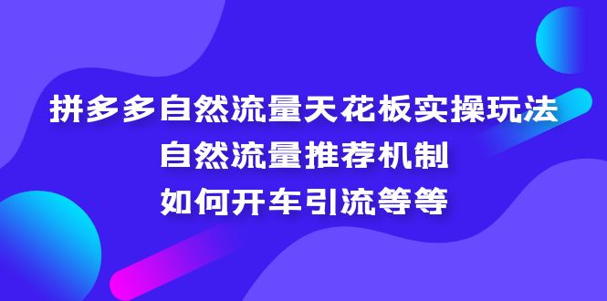 （5327期）拼多多自然流量天花板实操玩法：自然流量推荐机制，如何开车引流等等-汇课新知资源网
