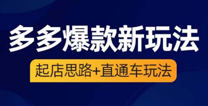 （6028期）2023拼多多爆款·新玩法：起店思路+直通车玩法（3节精华课）-汇课新知资源网