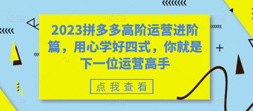 （6193期）2023拼多多高阶运营进阶篇，用心学好四式，你就是下一位运营高手-汇课新知资源网