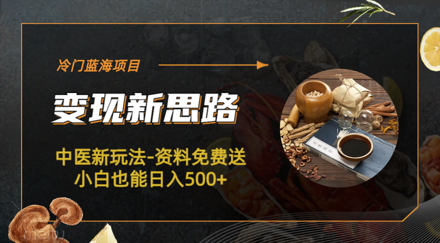 （6452期）冷门蓝海项目-中医新玩法-资料免费送小白也能日入500+-汇课新知资源网