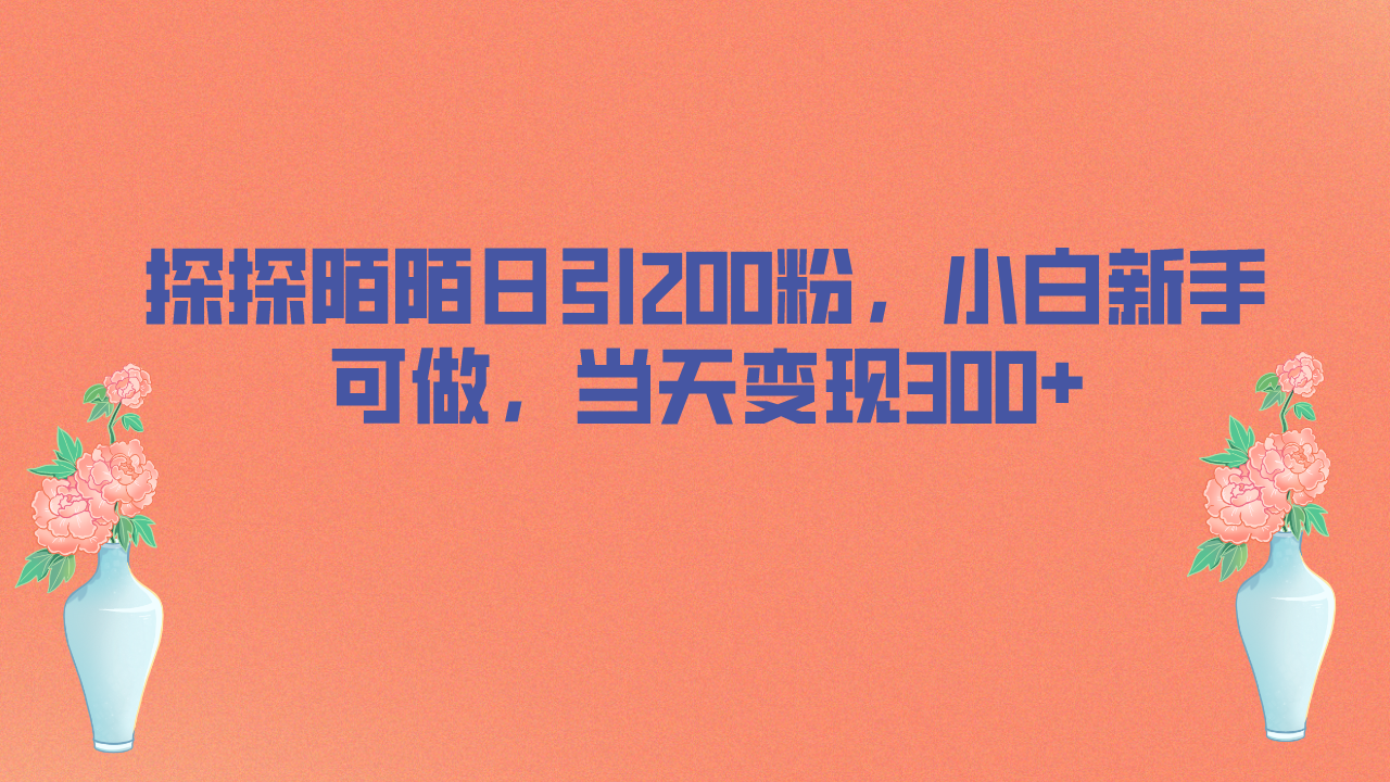 （6817期）探探陌陌日引200粉，小白新手可做，当天就能变现300+-汇课新知资源网