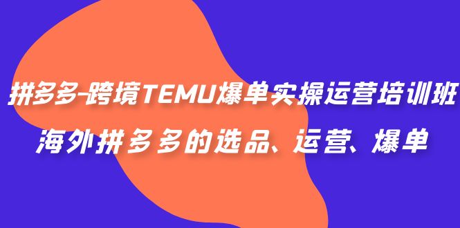 （6934期）拼多多-跨境TEMU爆单实操运营培训班，海外拼多多的选品、运营、爆单-汇课新知资源网