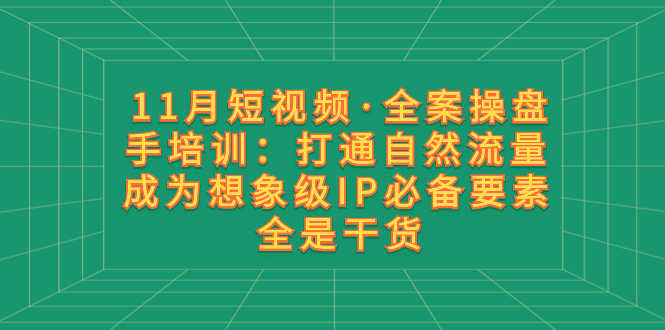 （8182期）11月短视频·全案操盘手培训：打通自然流量 成为想象级IP必备要素 全是干货-汇课新知资源网
