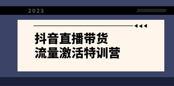 （8185期）抖音直播带货-流量激活特训营，入行新手小白主播必学（21节课+资料）-汇课新知资源网