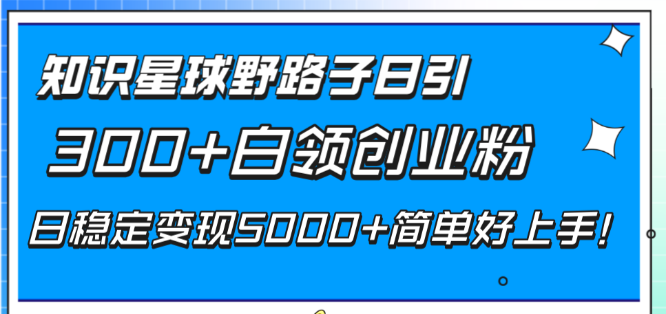 （8315期）知识星球野路子日引300+白领创业粉，日稳定变现5000+简单好上手！-汇课新知资源网