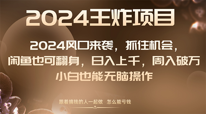 （8401期）2024风口项目来袭，抓住机会，闲鱼也可翻身，日入上千，周入破万，小白…-汇课新知资源网