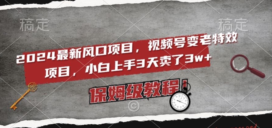 2024最新风口项目，视频号变老特效项目，电脑小白上手3天卖了3w+，保姆级教程【揭秘】-汇课新知资源网