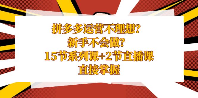 拼多多运营不理想？新手不会做？15节系列课+2节直播课学会直接掌握-汇课新知资源网