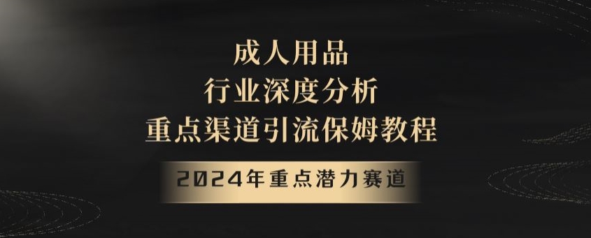 2024年重点潜力赛道，成人用品行业深度分析，重点渠道引流保姆教程【揭秘】-汇课新知资源网