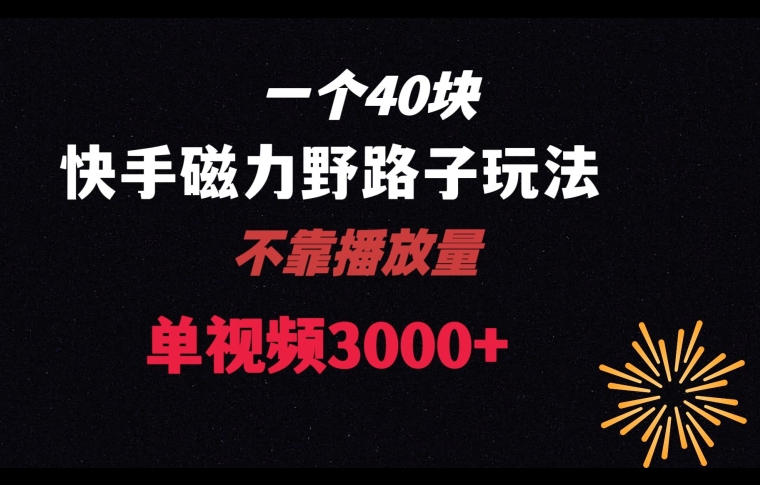 一个40块，快手联合美团磁力新玩法，无视机制野路子玩法，单视频收益4位数【揭秘】-汇课新知资源网