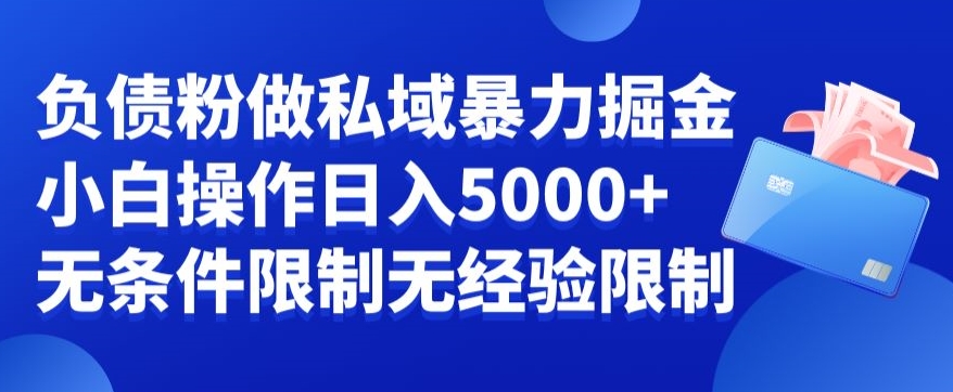 负债粉私域暴力掘金，小白操作入5000，无经验限制，无条件限制-汇课新知资源网