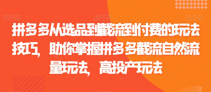 拼多多从选品到截流到付费的玩法技巧，助你掌握拼多多截流自然流量玩法，高投产玩法-汇课新知资源网