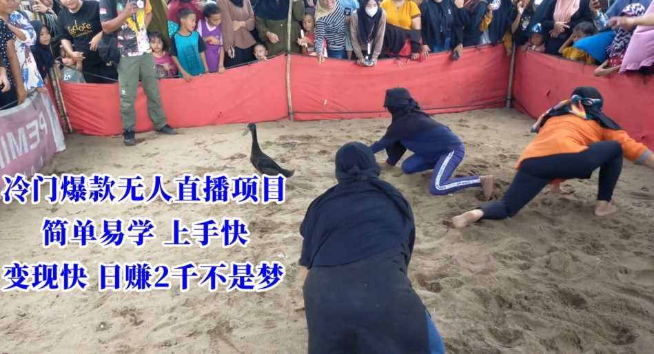 冷门爆款无人直播项目，简单易学上手快，变现快日赚2千不是梦【揭秘】-汇课新知资源网